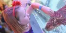 SeaQuest Folsom Tickets SeaQuest Folsom Tickets