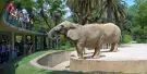 Barcelona Zoo Tickets Barcelona Zoo Tickets