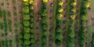 Tropical Fruit World Tickets Tropical Fruit World Tickets