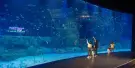 Lotte World Aquarium Tickets Lotte World Aquarium Tickets
