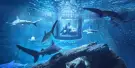 Underwater World Langkawi Tickets Underwater World Langkawi Tickets