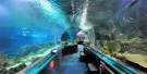 Underwater World Langkawi Tickets Underwater World Langkawi Tickets