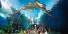 Underwater World Pattaya Tickets Underwater World Pattaya Tickets