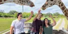 Busch Gardens Tampa Bay Tickets