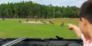 Wild Florida Safari Drive Thru Park Tickets Wild Florida Safari Drive Thru Park Tickets