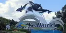 SeaWorld Orlando Tickets SeaWorld Orlando Tickets