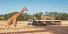 Werribee Open Range Zoo Tickets Werribee Open Range Zoo Tickets