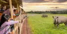 Werribee Open Range Zoo Tickets Werribee Open Range Zoo Tickets