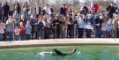Whipsnade Zoo Tickets Whipsnade Zoo Tickets