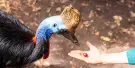 WILD LIFE Sydney Zoo Tickets WILD LIFE Sydney Zoo Tickets
