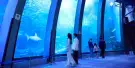Yokohama Hakkeijima Sea Paradise Tickets Yokohama Hakkeijima Sea Paradise Tickets