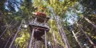 Ziptrek Ecotours Ziptrek Ecotours