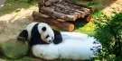 Zoo Negara Malaysia Tickets Zoo Negara Malaysia Tickets