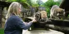 Zoo d'Amnéville Tickets