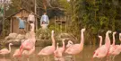 ZooParc Tickets ZooParc Tickets