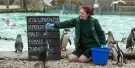 ZSL London Zoo Tickets ZSL London Zoo Tickets