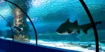 Antalya Aquarium Tickets