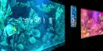 Antalya Aquarium Tickets