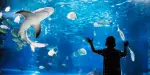 Aquarium of Lyon Tickets