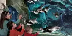 Aquarium of Cattolica Tickets