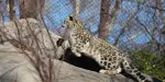 Central Park Zoo Tickets