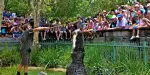Australian Reptile Park Tickets