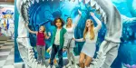 Big Fun Museum Tickets