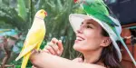 Birdworld Kuranda Tickets