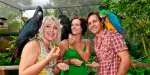 Birdworld Kuranda Tickets