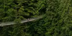 Capilano Suspension Bridge Park Tickets