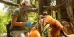 Central Florida Zoo and Botanical Gardens Tickets