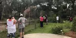 Central Florida Zoo and Botanical Gardens Tickets
