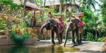 Lombok Wildlife Park Tickets