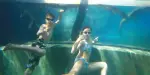 Crocosaurus Cove Tickets