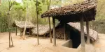 Cu Chi Tunnels Tours