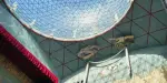 Dalí Theatre-Museum Tickets