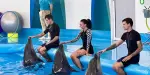 Dolphinarium Pattaya Tickets
