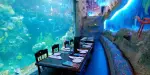 Downtown Aquarium Tickets