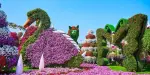 Dubai Butterfly Garden Tickets