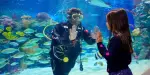Emaar Aquarium Istanbul Tickets