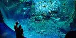 Enoshima Aquarium Tickets