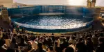Enoshima Aquarium Tickets