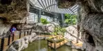 Entopia By Penang Butterfly Farm Tickets