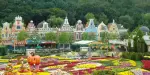 Everland Theme Park Tickets