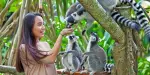 Bali Zoo Tickets