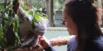Featherdale Sydney Wildlife Park Tickets
