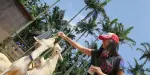 Southeast Botanical Gardens Tickets