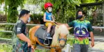 G2G Animal Garden Tickets