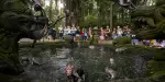 Sacred Monkey Forest Sanctuary Tickets