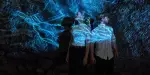 Glacier Garden of Lucerne Tickets